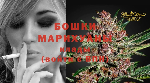 СК Балахна