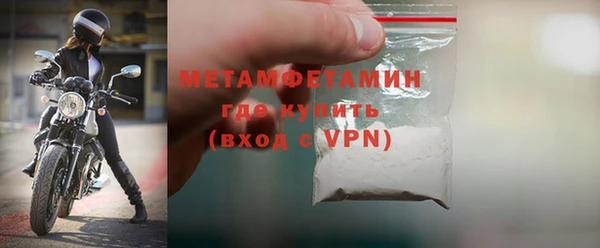 индика Осинники