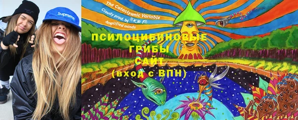 мдпв Балабаново