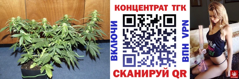 Дистиллят ТГК жижа  Фёдоровский 